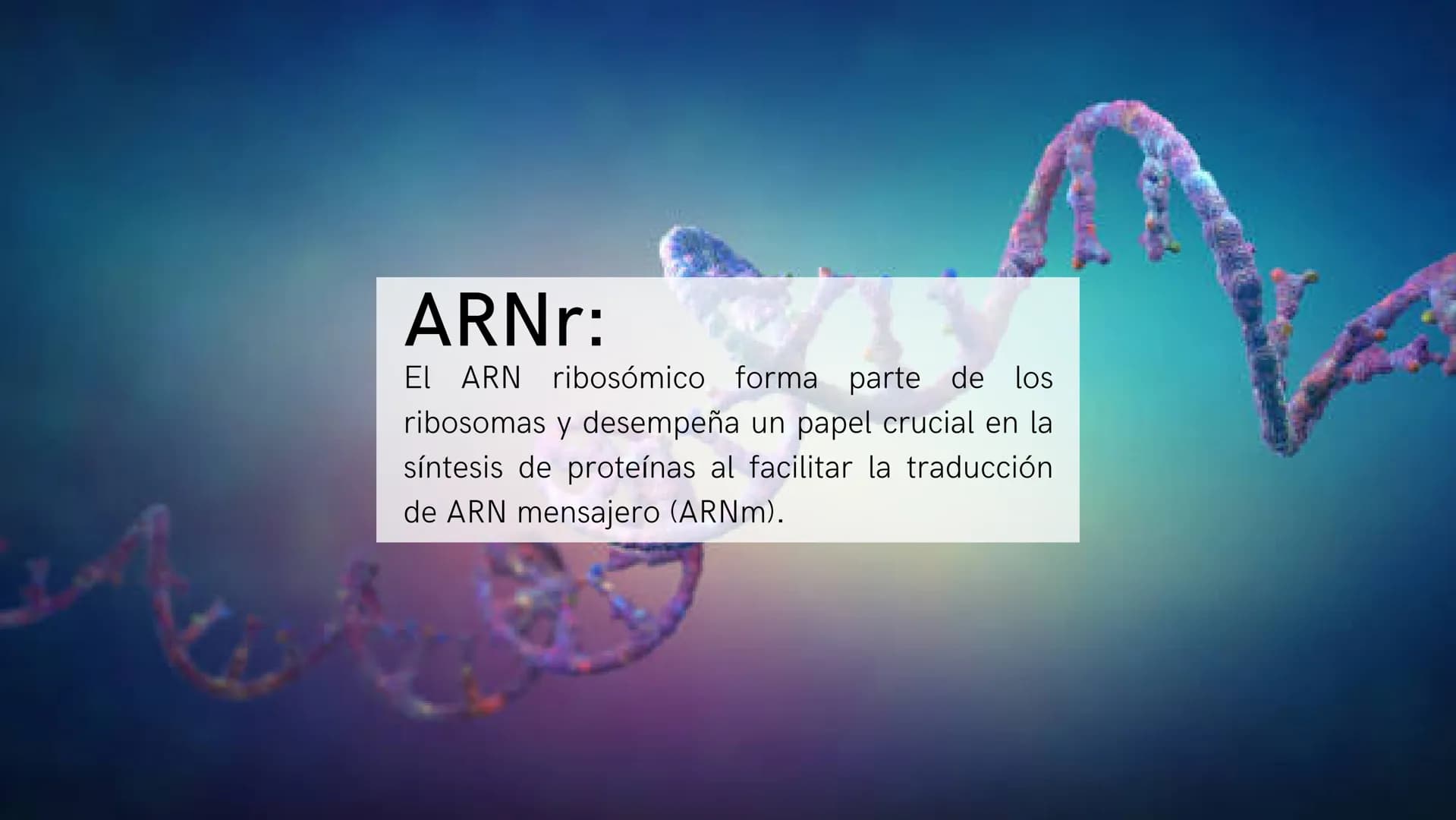 # ¿Qué son?:
Los ácidos nucleicos son biomoléculas que
almacenan y transmiten información genética
en forma de secuencias de nucleótidos. Es