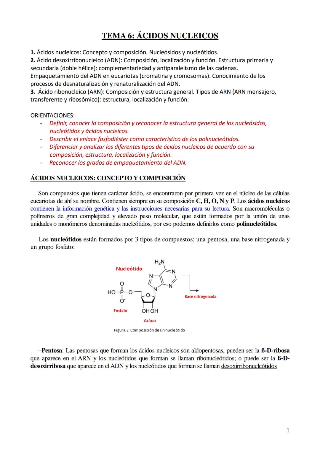 # TEMA 6: ÁCIDOS NUCLEICOS
1. Ácidos nucleicos: Concepto y composición. Nucleósidos y nucleótidos.
2. Ácido desoxirribonucleico (ADN): Comp