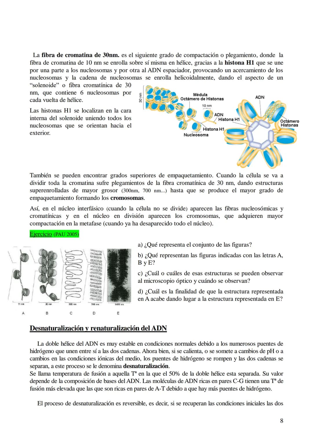 # TEMA 6: ÁCIDOS NUCLEICOS
1. Ácidos nucleicos: Concepto y composición. Nucleósidos y nucleótidos.
2. Ácido desoxirribonucleico (ADN): Comp