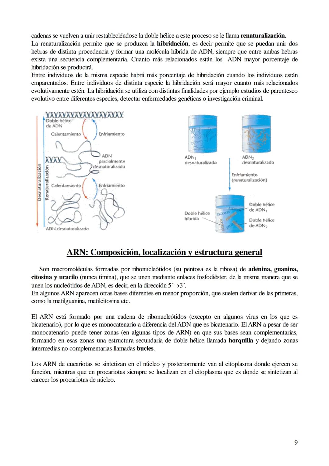 # TEMA 6: ÁCIDOS NUCLEICOS
1. Ácidos nucleicos: Concepto y composición. Nucleósidos y nucleótidos.
2. Ácido desoxirribonucleico (ADN): Comp