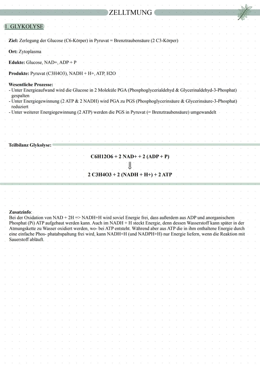 ZELLATMUNG
Fotosynthese
Zellatmung
autotrophe Assimilation
CO2 => 02
Aufbau von Glucose
in 2 Schritten:
1. Lichtabhängige Reaktion
2. L