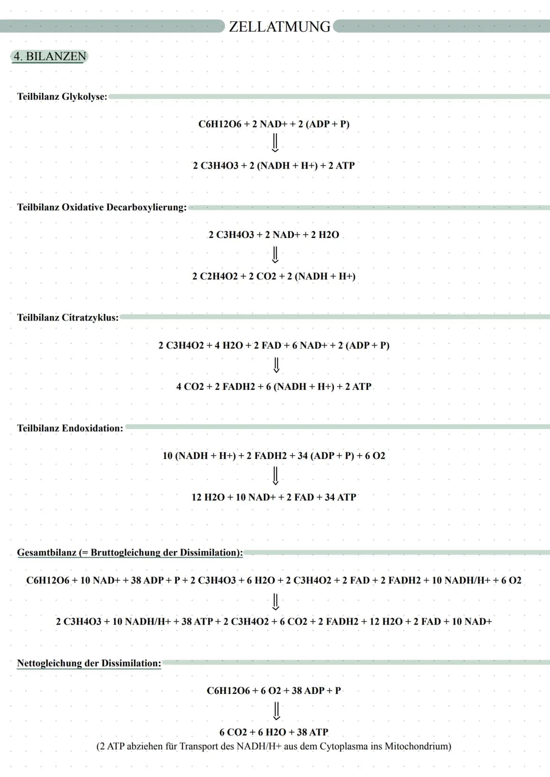 ZELLATMUNG
Fotosynthese
Zellatmung
autotrophe Assimilation
CO2 => 02
Aufbau von Glucose
in 2 Schritten:
1. Lichtabhängige Reaktion
2. L