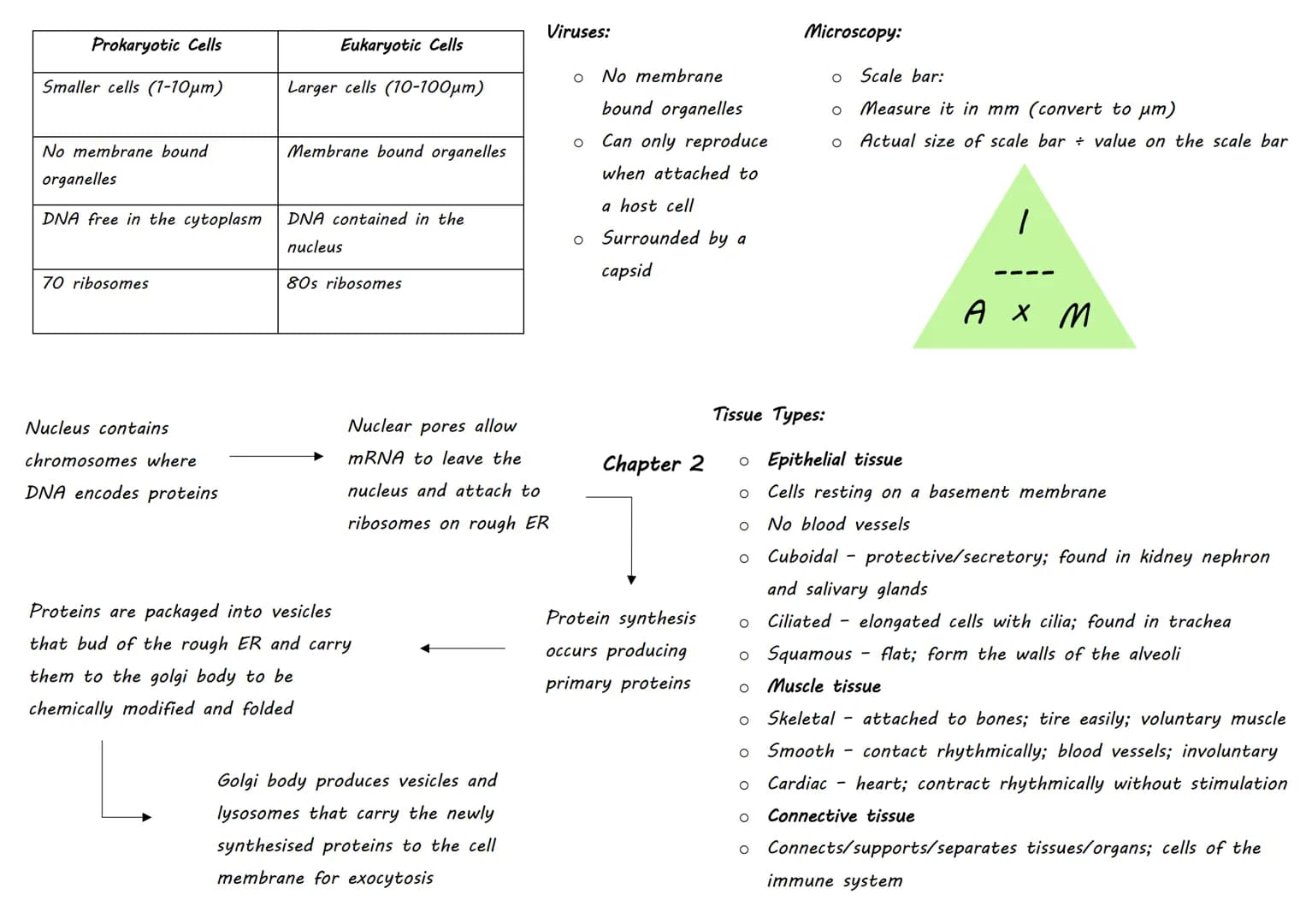 | Inorganic Molecule | Animal Importance | Plant Importance |
|---|---|---|
| Magnesium | Bones | Chlorophyll (no growth) |
| Iron | | Haem