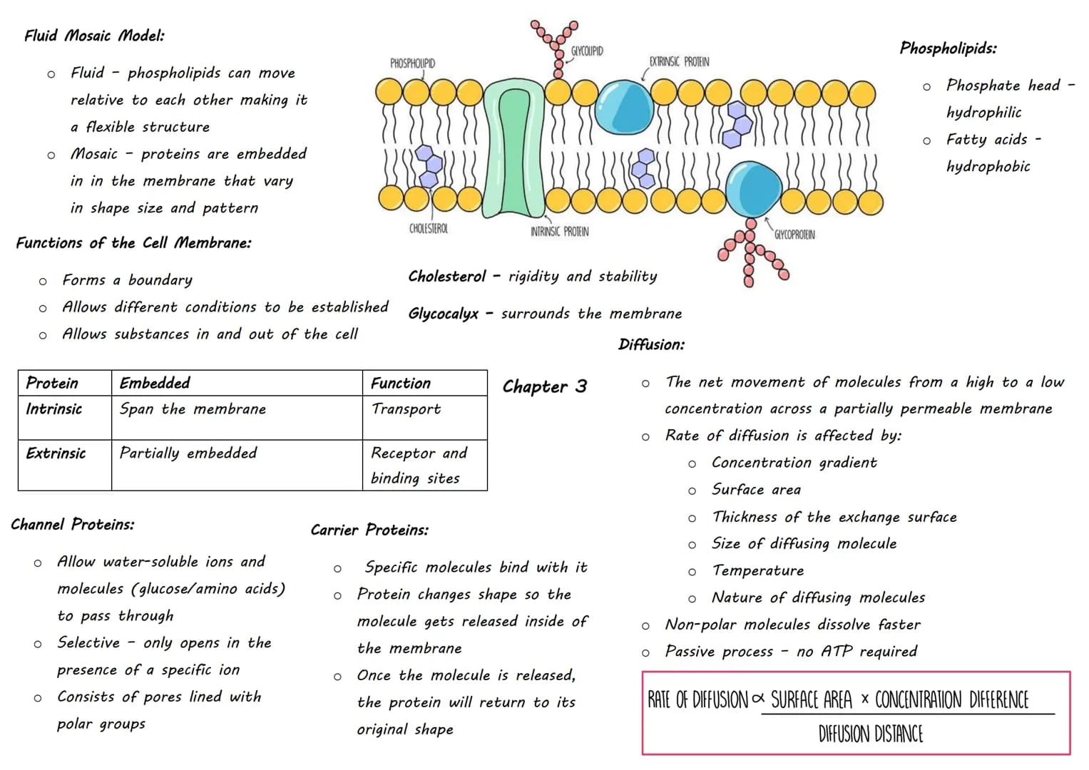| Inorganic Molecule | Animal Importance | Plant Importance |
|---|---|---|
| Magnesium | Bones | Chlorophyll (no growth) |
| Iron | | Haem