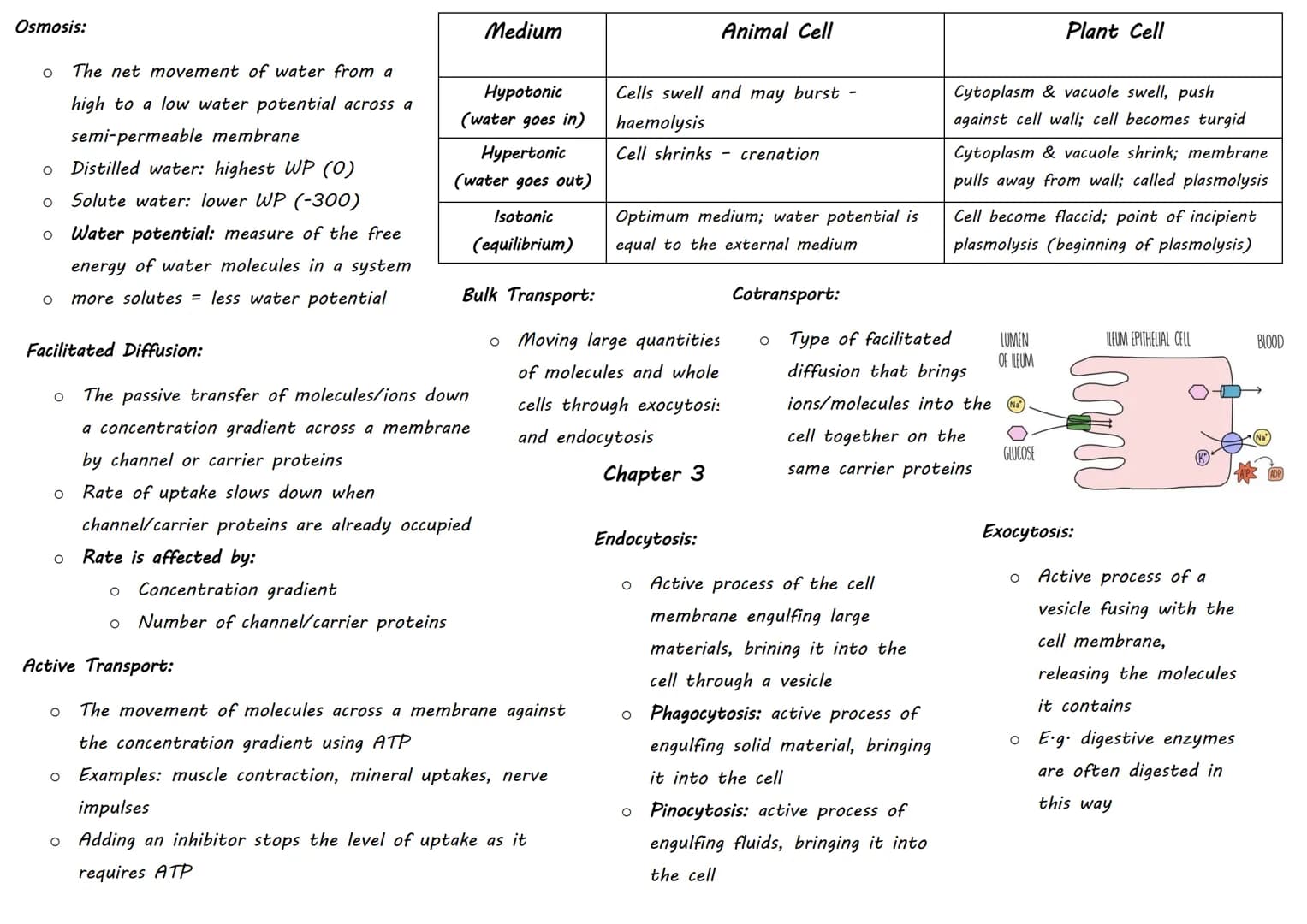 | Inorganic Molecule | Animal Importance | Plant Importance |
|---|---|---|
| Magnesium | Bones | Chlorophyll (no growth) |
| Iron | | Haem