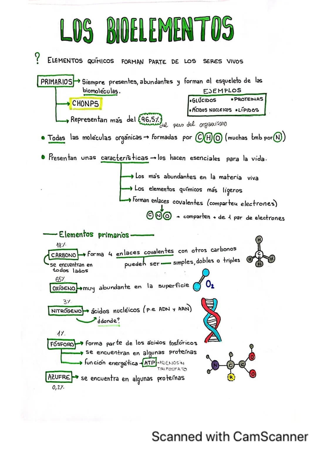 # BIDELEMENTOS
BIOELEMENTOS
SE
CLASIFICAN
18 10 65 3 1 03
CHONDS
PRIMARIOS
1'5
0'2 0'4
SECUNDARIOS Ca Na K
OLIGOELEMENTOS I Fe Li
3%
-