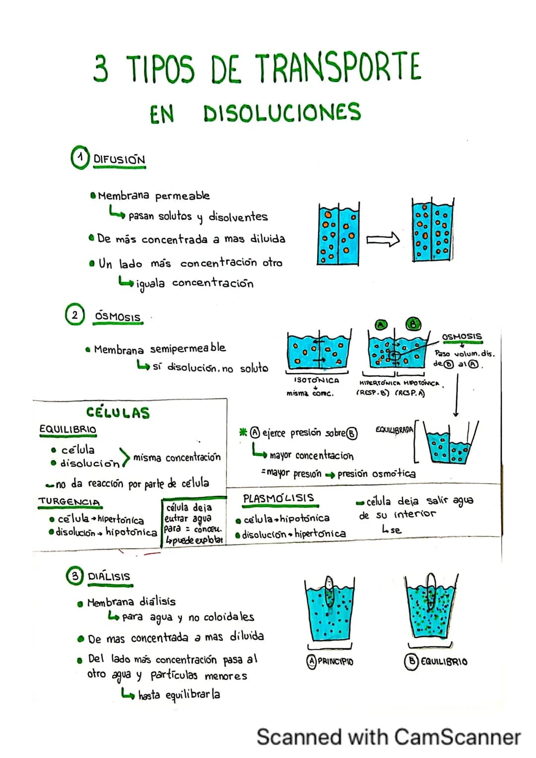 # BIDELEMENTOS
BIOELEMENTOS
SE
CLASIFICAN
18 10 65 3 1 03
CHONDS
PRIMARIOS
1'5
0'2 0'4
SECUNDARIOS Ca Na K
OLIGOELEMENTOS I Fe Li
3%
-