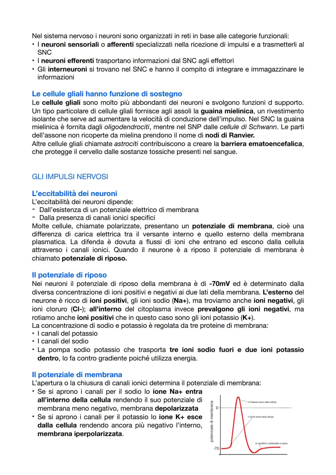 <p>Il sistema nervoso è responsabile del coordinamento dell'attività dell'organismo e della relazione con il mondo esterno. Esso opera attr