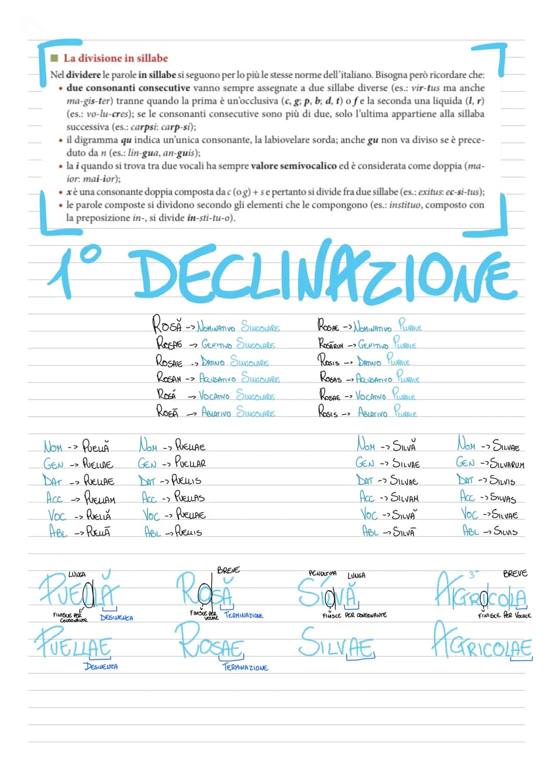 # LATINO
PAROLE
DISCIPULA, AE (STUDENTESA, E) SACCUS, -1 (ZAWO, 1)
DISCIPULUS, -1 (STUDENTE, 1)
MAGISTRA, -AE (HAESTRA, E)
SELLA, -AE (