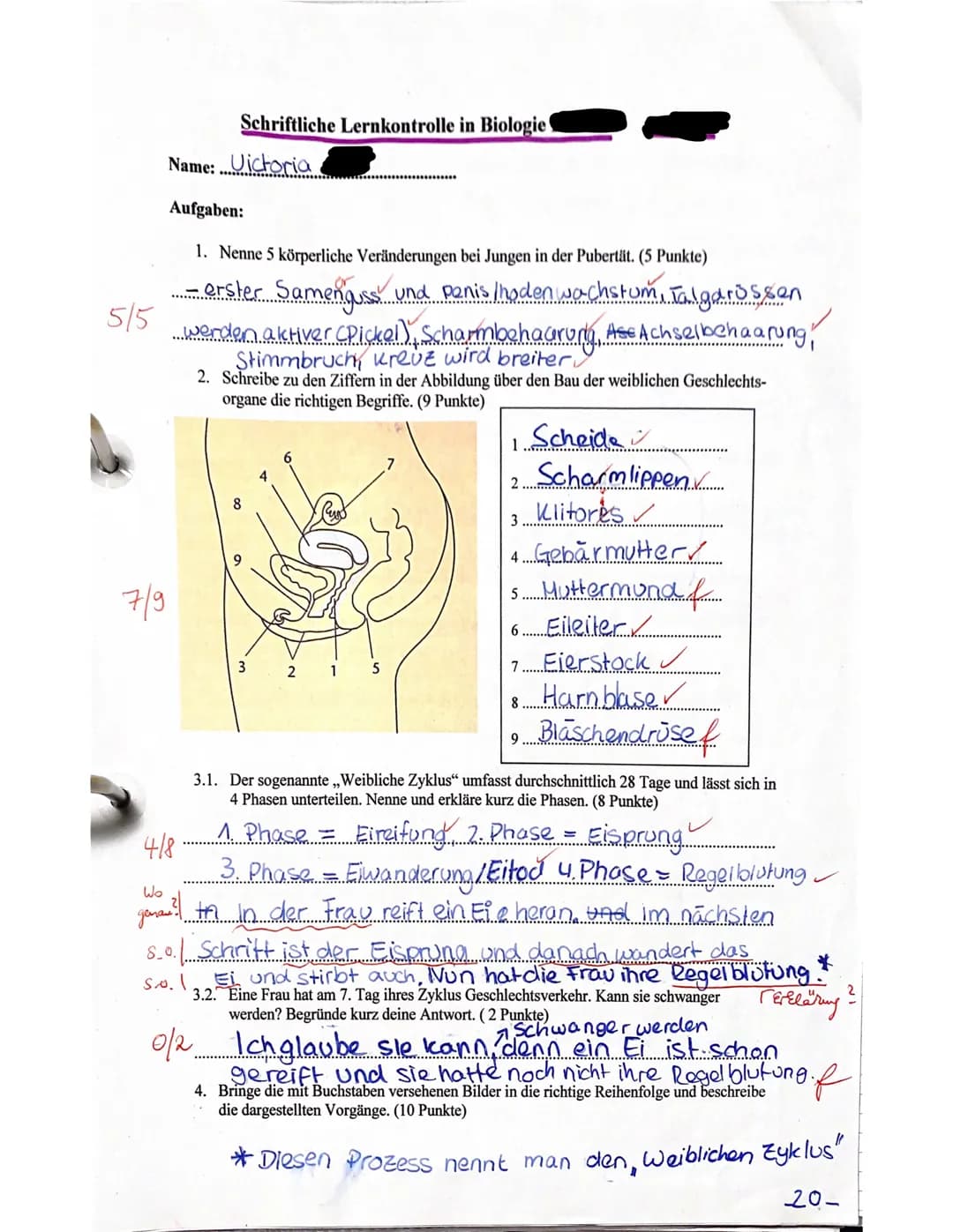 Schriftliche Lernkontrolle in Biologie
Name: Victoria
Aufgaben:
1. Nenne 5 körperliche Veränderungen bei Jungen in der Pubertät. (5 Punkte