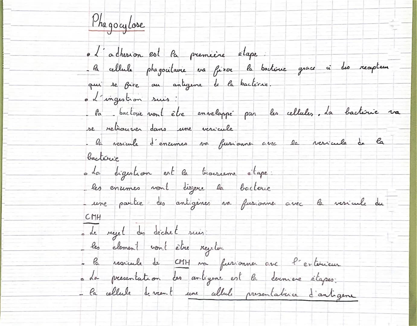# Phagocy lose
•L'adhesion est la première étape.
- la cellule phagocitare va fixer la bactive grace à des recaptem
qui se fixe au antige