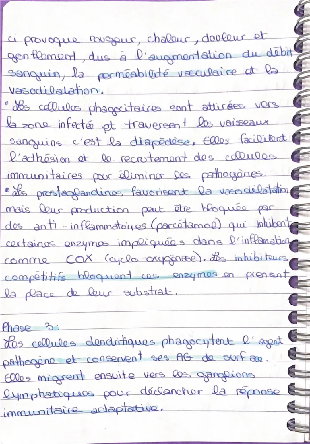 SVT
PARTIE FONCTIONNEMENT SYSTÈME IMMU HUMAIN
IMMUNITÉ INNÉE.
Phase 1: La reconaissance du pathogène
Phase 2: Les collules dendritique n