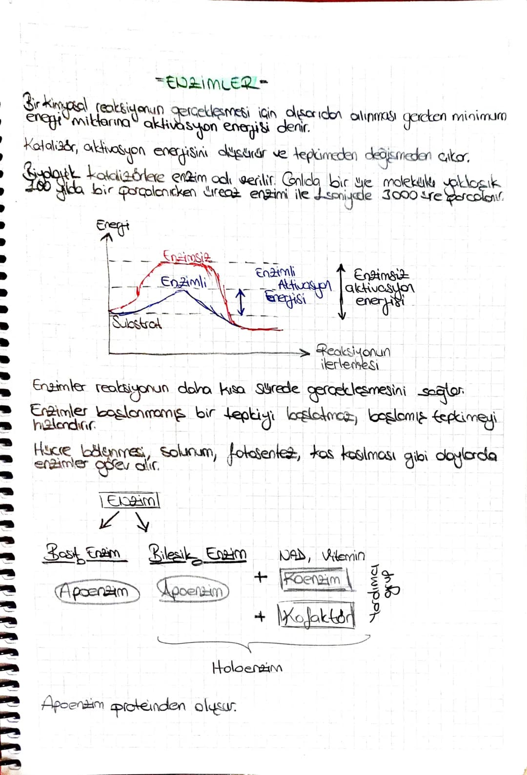 -ENZIMLER-
Bir kimyasal reaksiyonun gerçekleşmesi için dışarıdın alınması gereken minimuro
enegi miktarına aktivasyon enerjisi denir.
• Kat