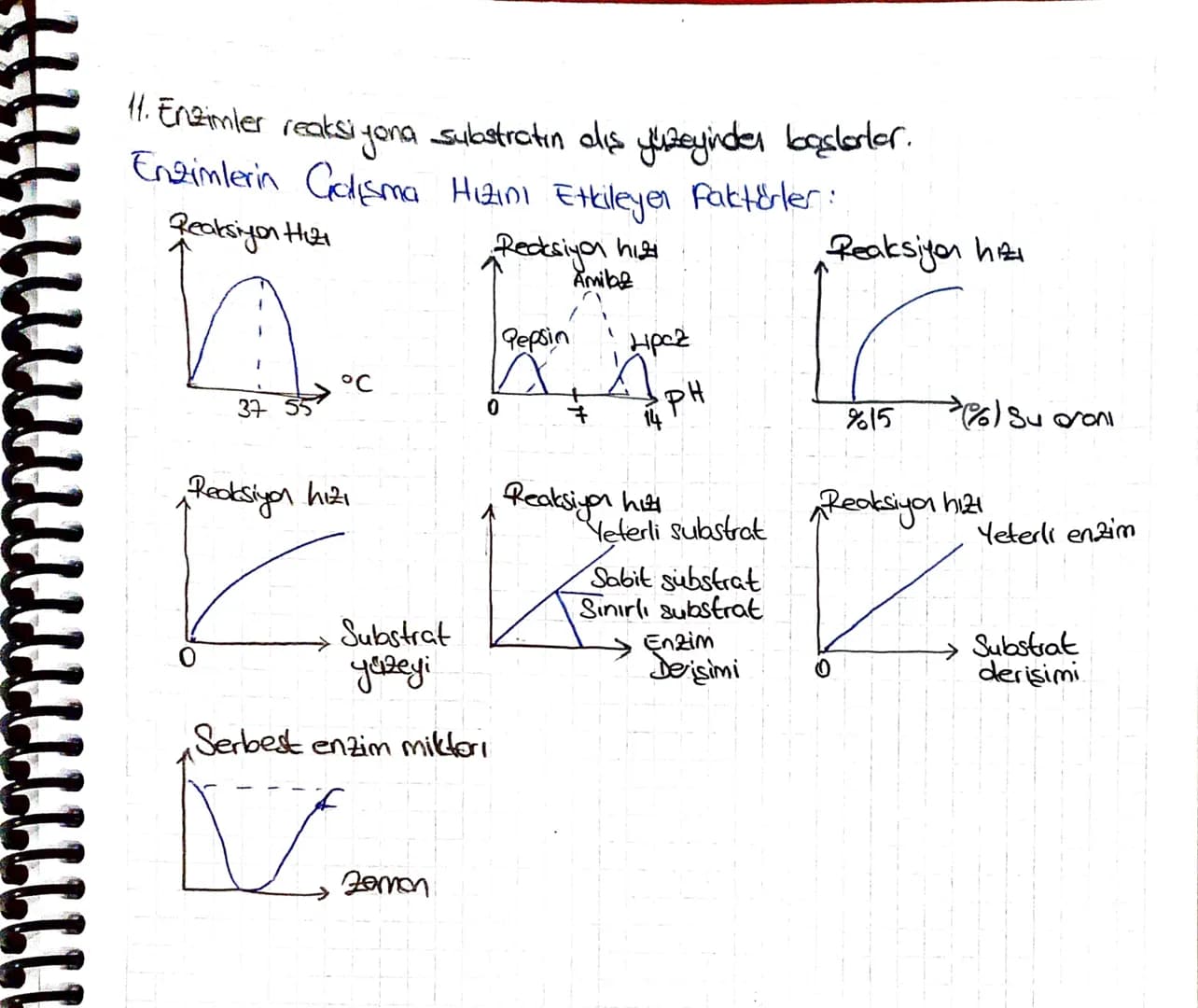 -ENZIMLER-
Bir kimyasal reaksiyonun gerçekleşmesi için dışarıdın alınması gereken minimuro
enegi miktarına aktivasyon enerjisi denir.
• Kat