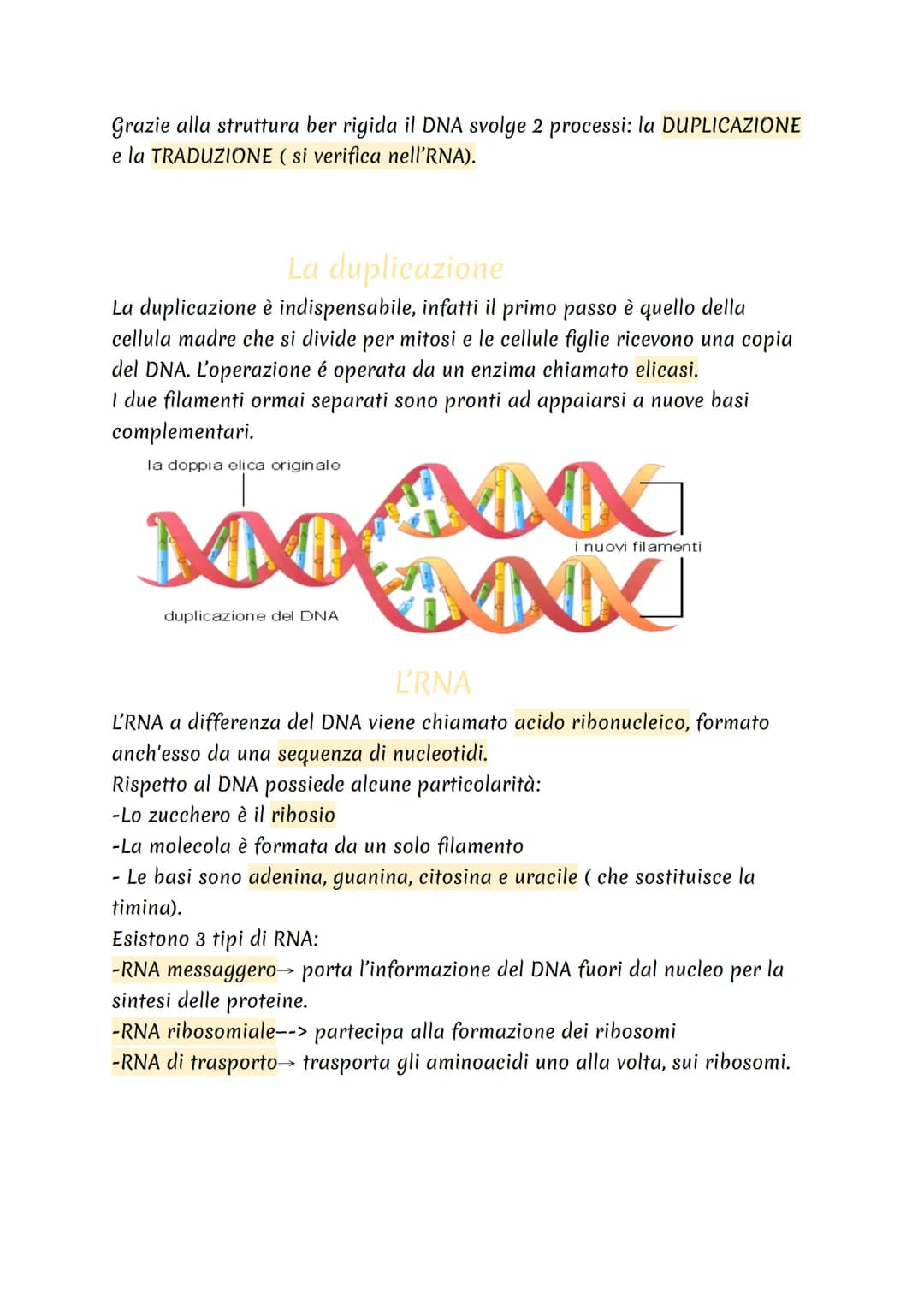 cos'è?
II DNA
II DNA è una molecola che si trova all'interno di ogni cellula e contiene
tutte le informazioni sul nostro organismo.
Dove si