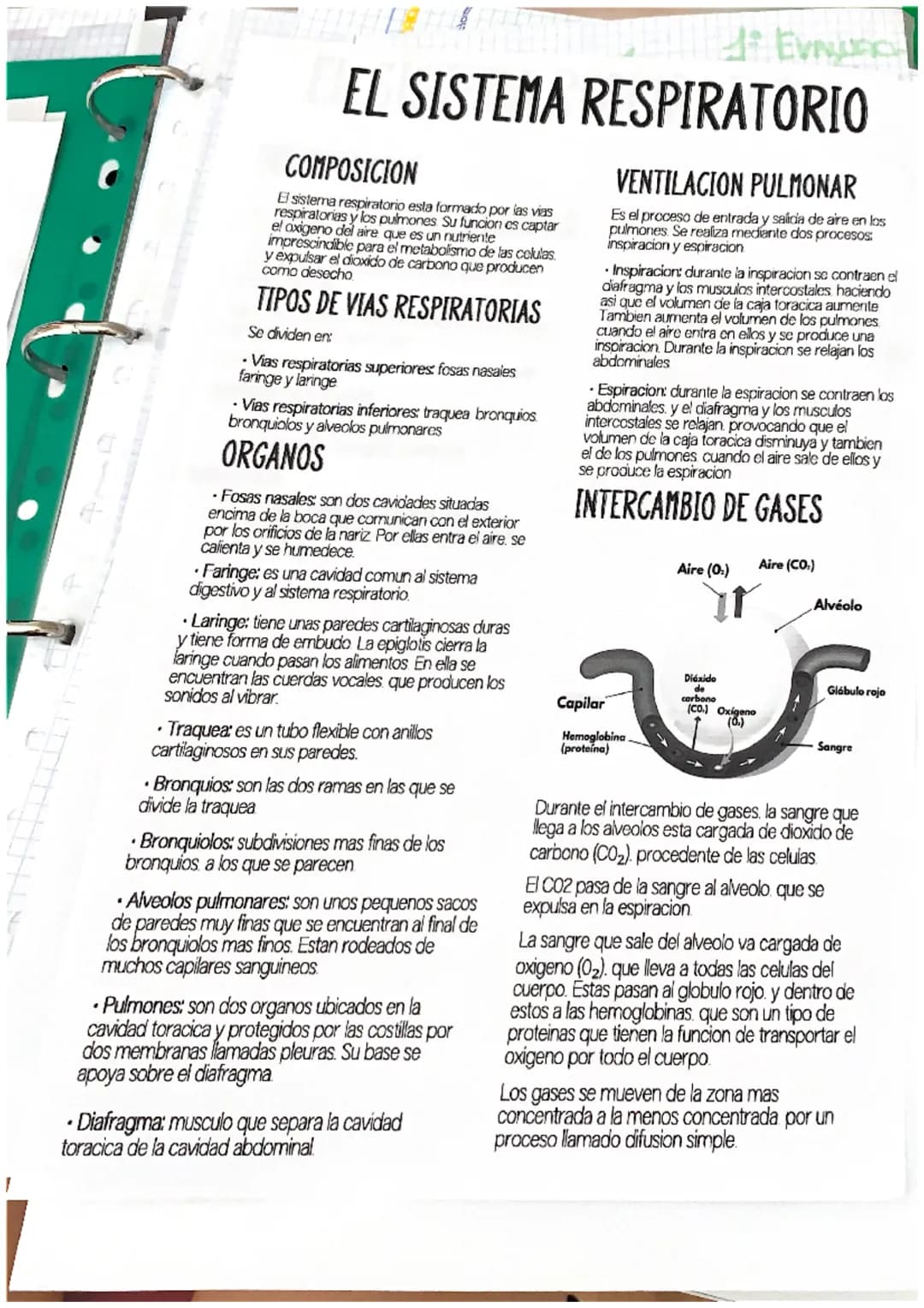 # EL SISTEMA RESPIRATORIO
COMPOSICION
El sistema respiratorio esta formado por las vias
respiratorias y los pulmones Su funcion es captar