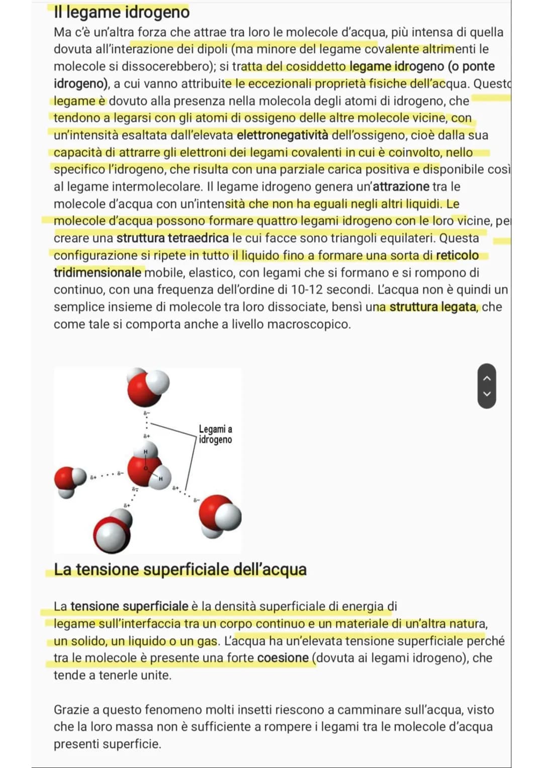 # L'acqua e le sue proprietà
L'acqua è uno degli elementi più diffusi sul nostro pianeta. Eppure, non tutti ne
conoscono le diverse caratte