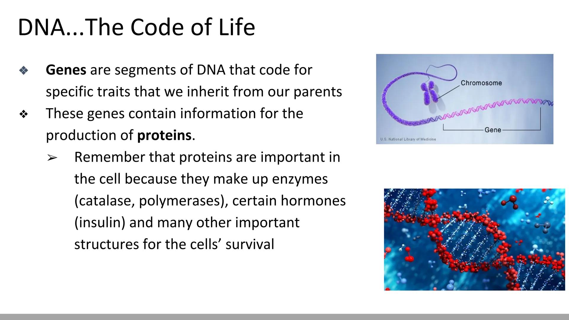# DNA Replication
BiologyX final review # Cell Reproduction & DNA replication
* When a cell reproduces, it divides.
* When it divides,