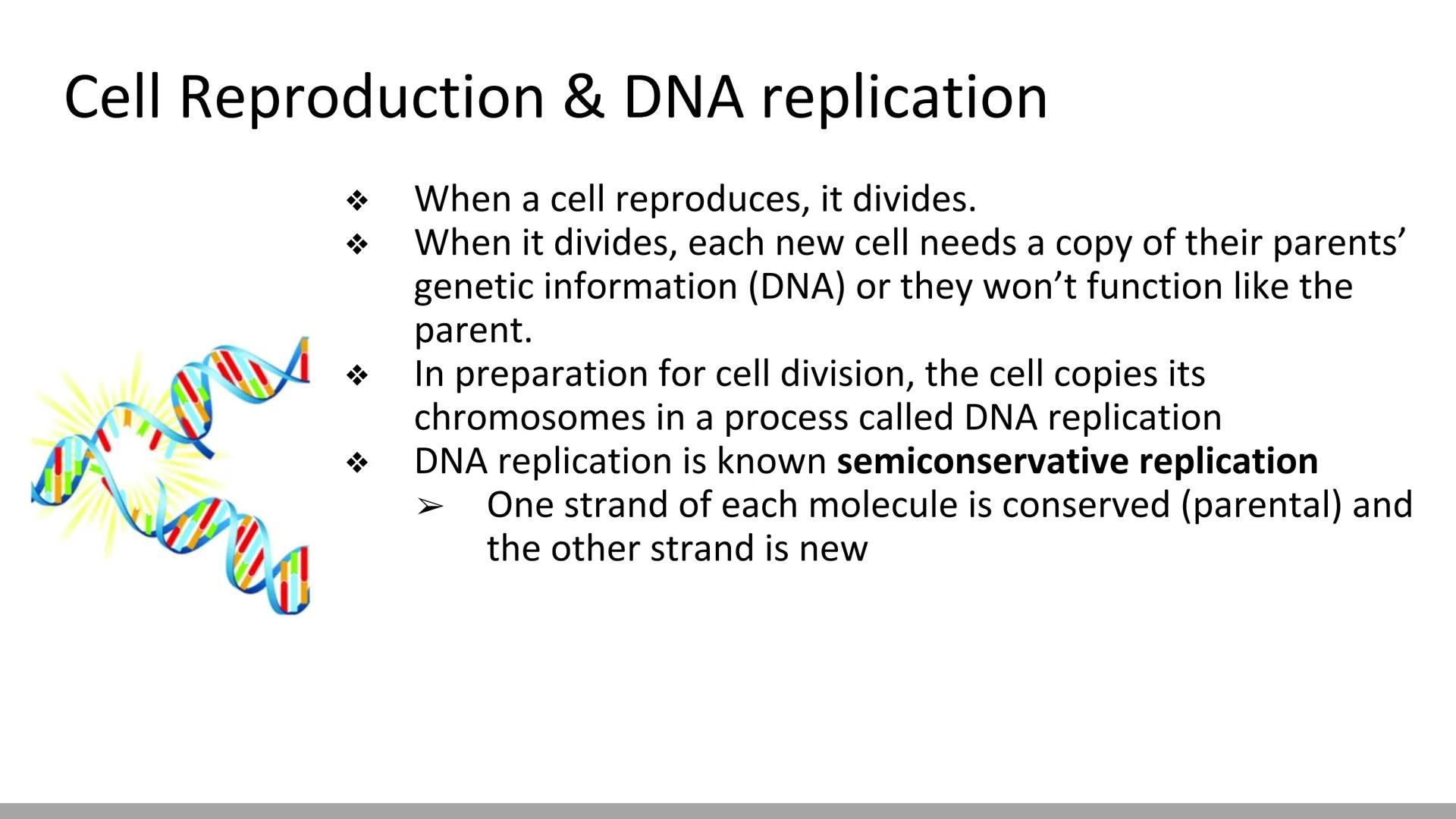 # DNA Replication
BiologyX final review # Cell Reproduction & DNA replication
* When a cell reproduces, it divides.
* When it divides,