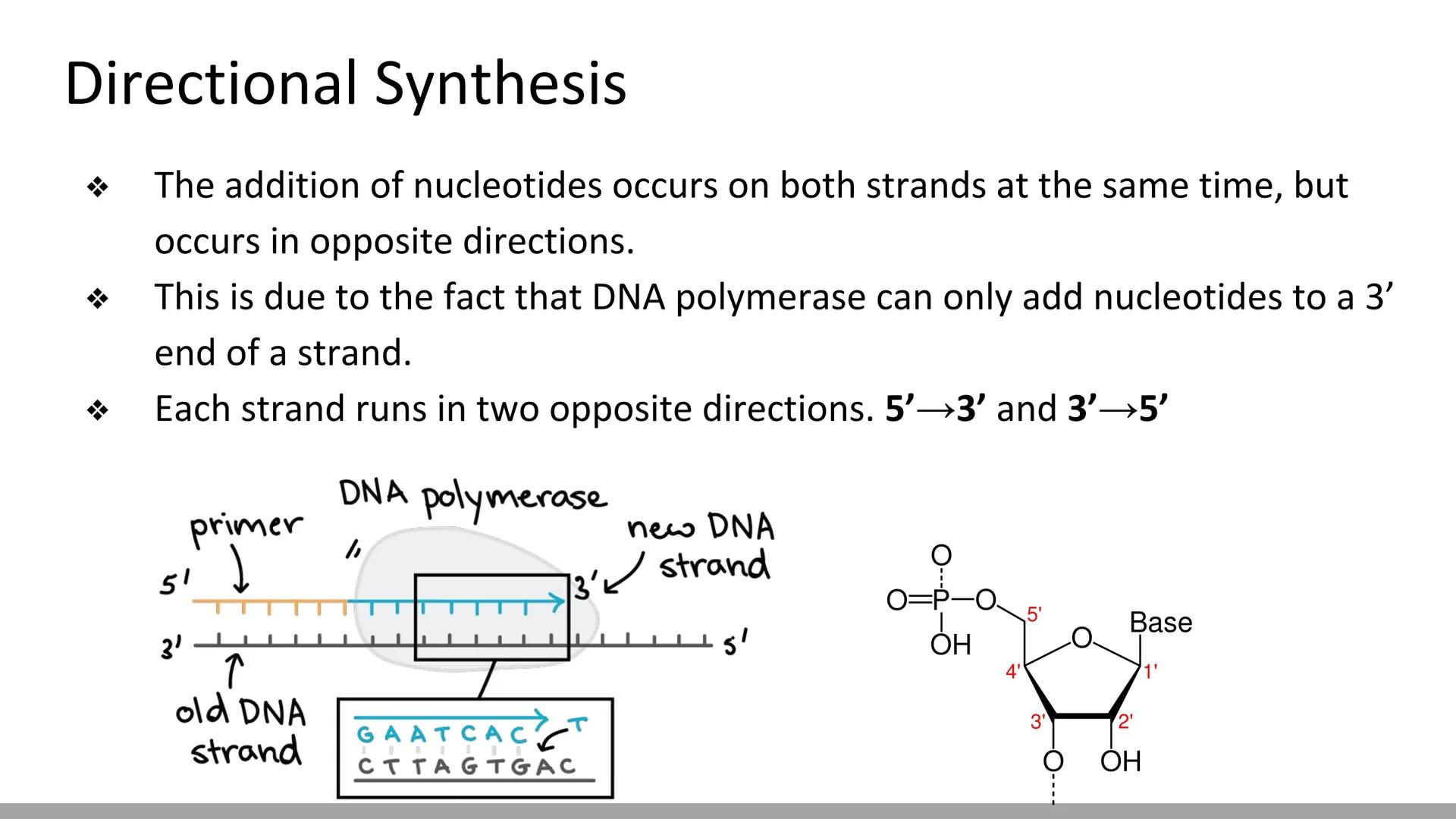 # DNA Replication
BiologyX final review # Cell Reproduction & DNA replication
* When a cell reproduces, it divides.
* When it divides,