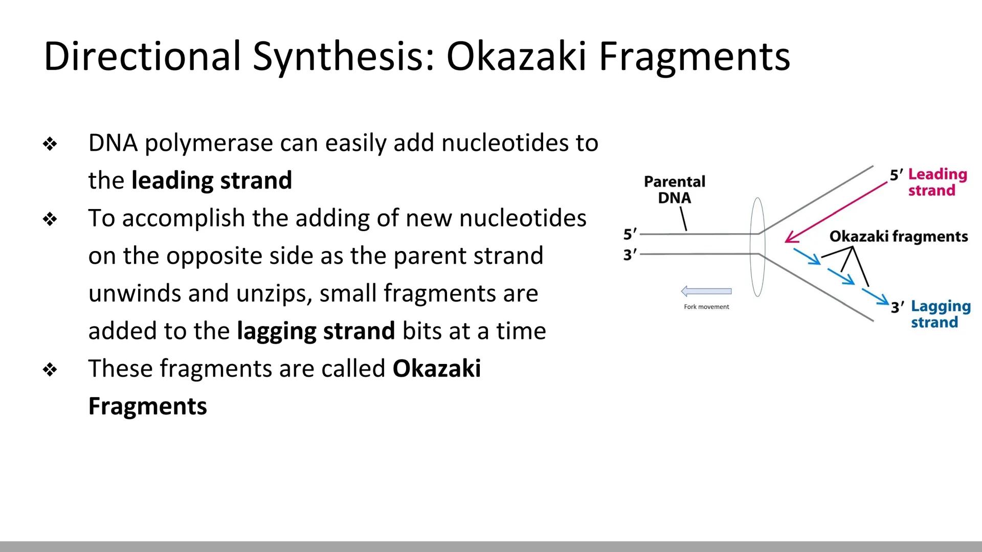 # DNA Replication
BiologyX final review # Cell Reproduction & DNA replication
* When a cell reproduces, it divides.
* When it divides,
