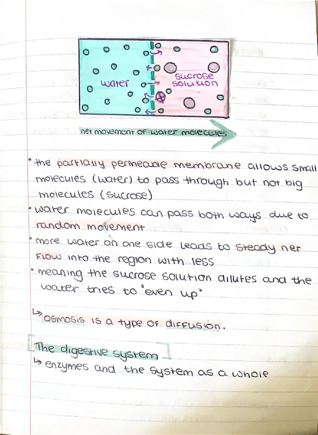 # BIOLOGY
Communicable and non-communicable
diseases.
* communicable diseases can be Spread,
From person to person or animals and
people