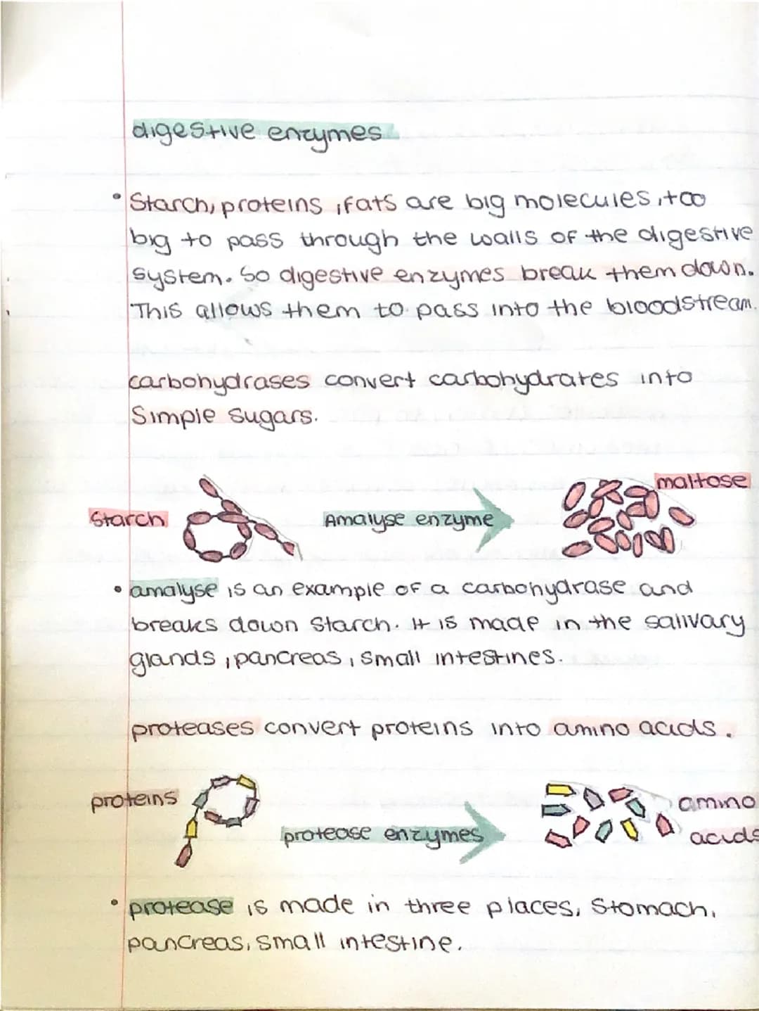 # BIOLOGY
Communicable and non-communicable
diseases.
* communicable diseases can be Spread,
From person to person or animals and
people