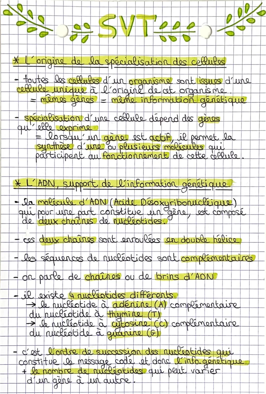 # SVT
* L'origine de la spécialisation des cellules
0
- toutes les cellules d'un organisme sont issues d'une
cellule unique à l' origine d
