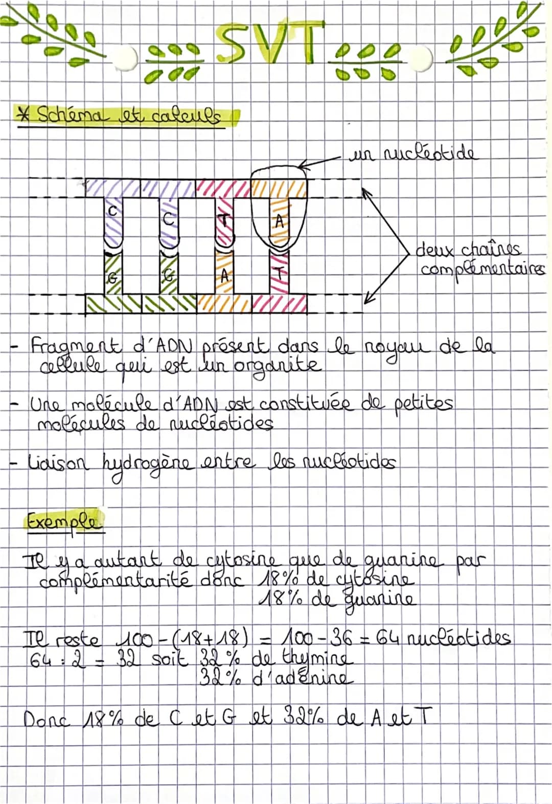 # SVT
* L'origine de la spécialisation des cellules
0
- toutes les cellules d'un organisme sont issues d'une
cellule unique à l' origine d