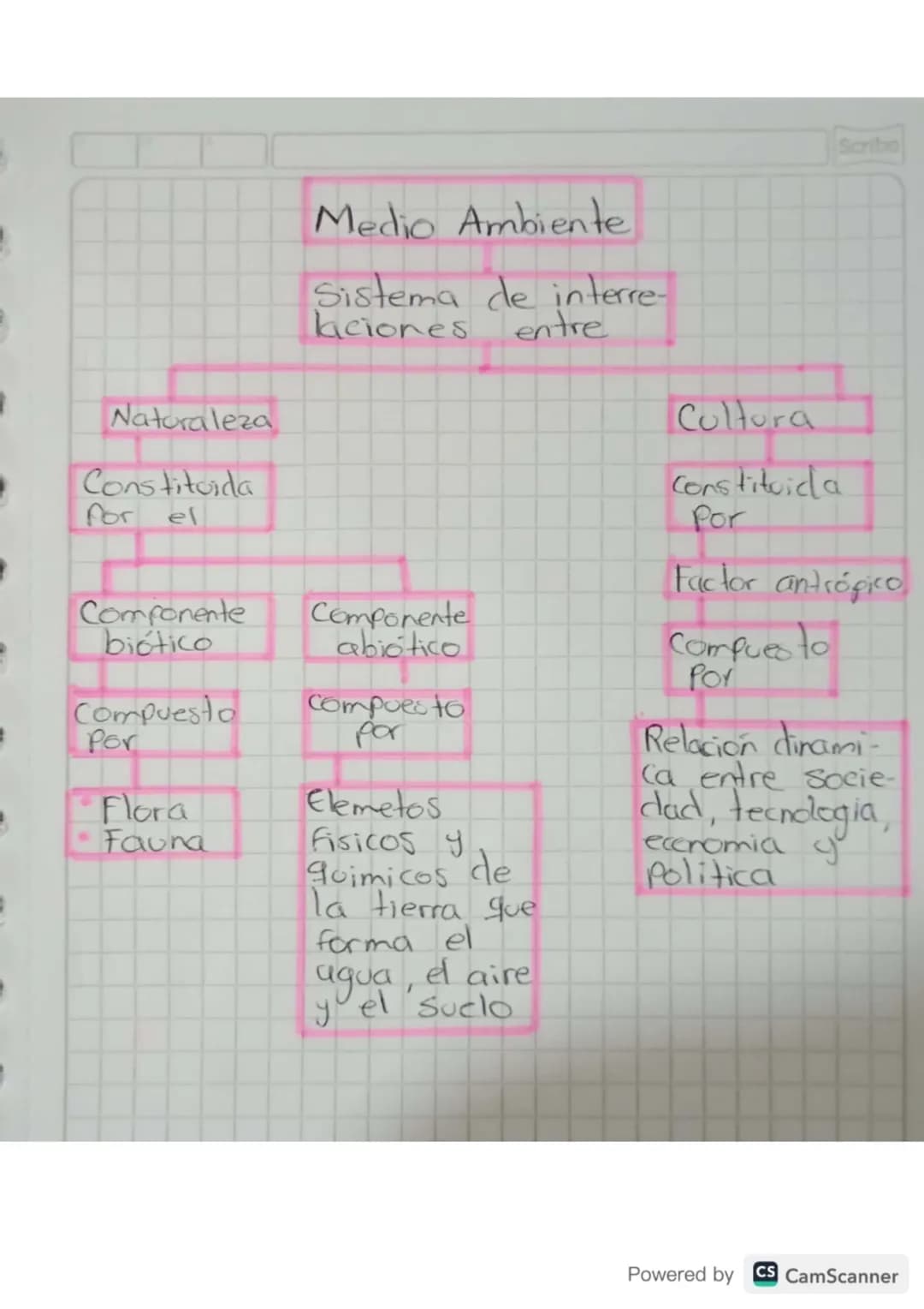 Scribe
Naturaleza
Constituida
for el
Componente
biótico
Compuesto
Por
Flora
Fauna
Medio Ambiente
Sistema de interre-
laciones entre
C