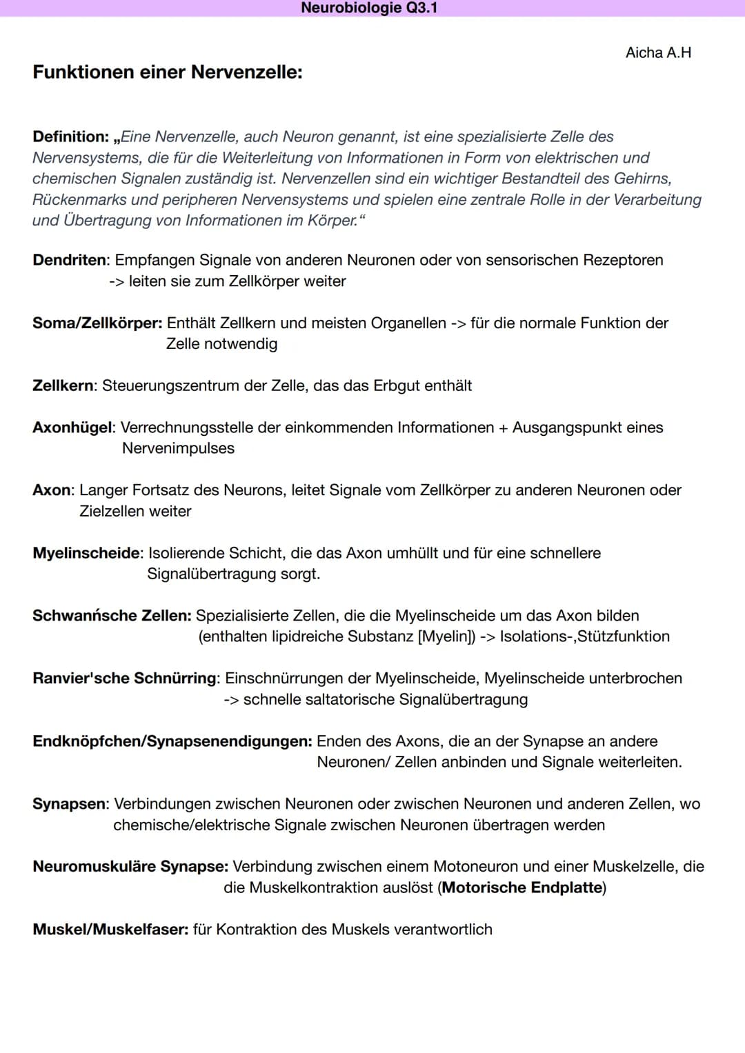 # Q3.1 Neurobiologie
Aicha A.H Neurobiologie Q3.1
Bau und Funktion der Nervenzelle
Aicha A.H
DAS NEURON (NERVENZELLE)
Motoneuron
Dentr