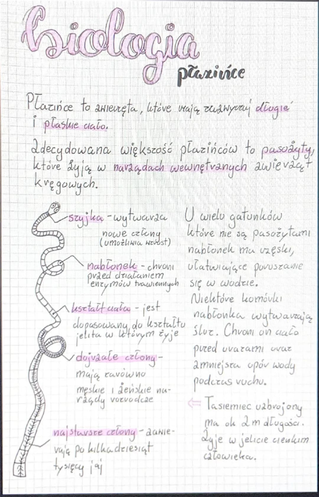 # biologia
Plazińce
Plazińce to zwierzęta, utive mają zudwycaj diogie
i płaskie ciało.
2decydowana większość płazińców to pasożyty,
ktove