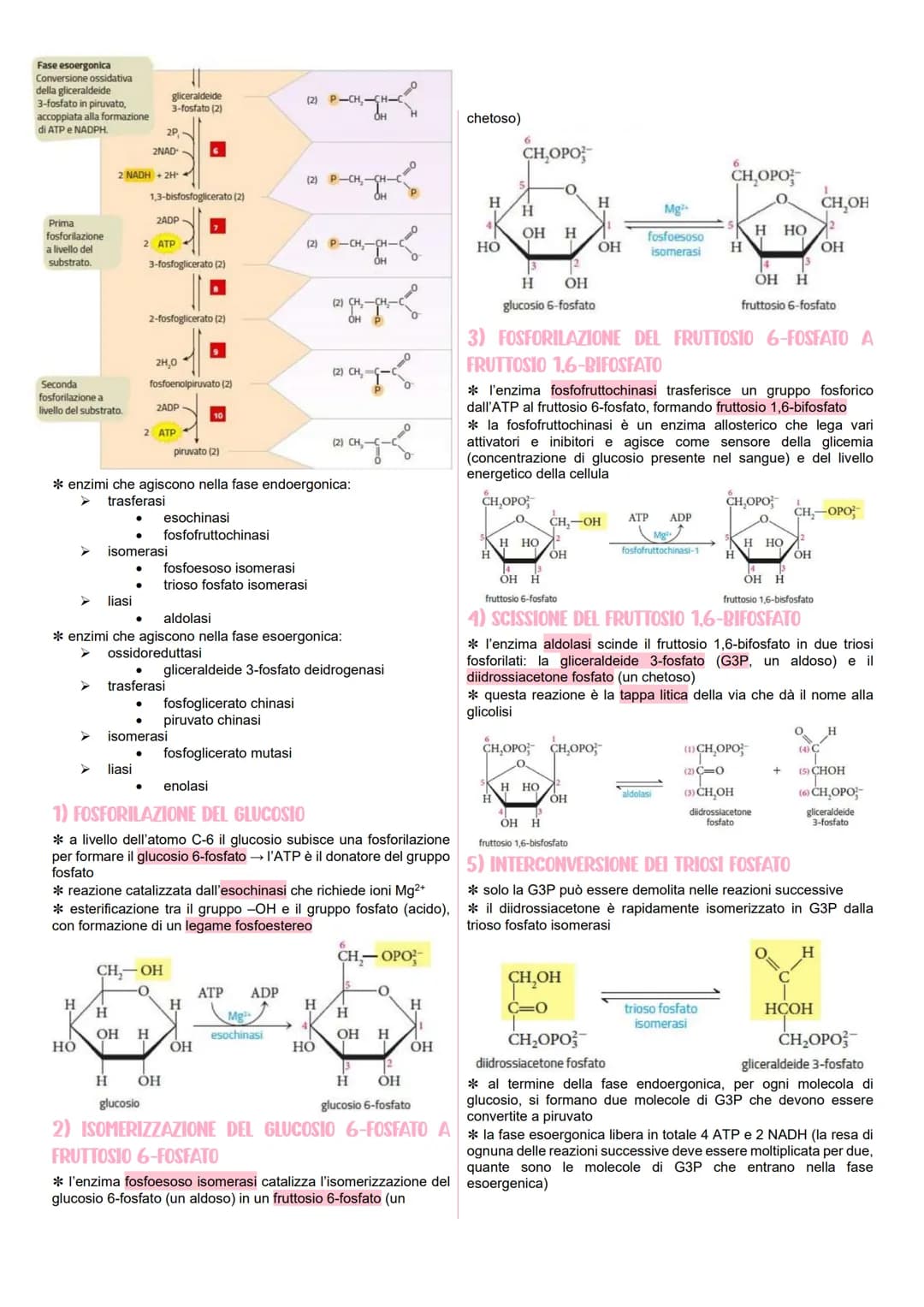 # METABOLISMO CELLULARE
LE VIE METABOLICHE
* al metabolismo energetico partecipano milioni di reazioni che
svolgono tre funzioni pri