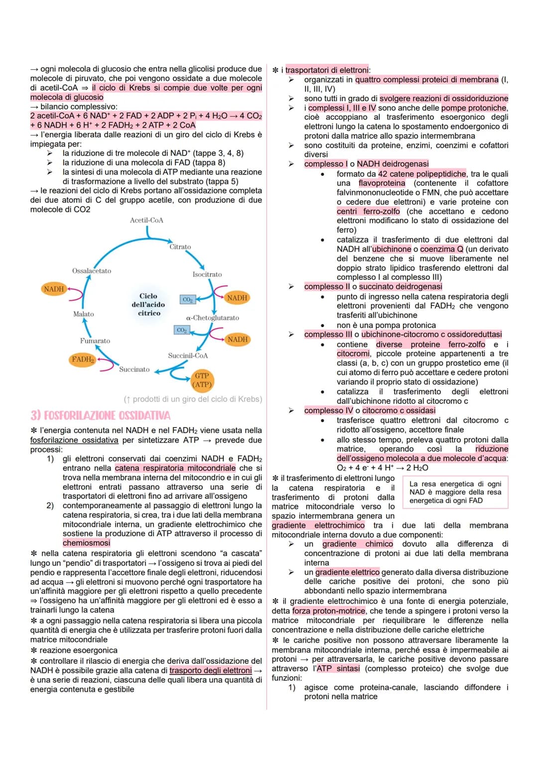 # METABOLISMO CELLULARE
LE VIE METABOLICHE
* al metabolismo energetico partecipano milioni di reazioni che
svolgono tre funzioni pri