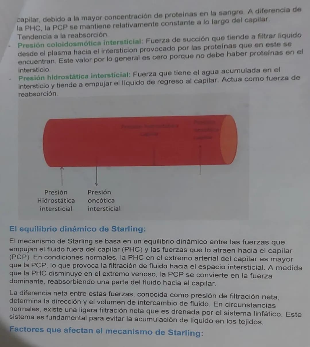 # Fuerzas de Starling
Definición: nombrado en honor al fisiólogo británico Emest Starling
El mecanismo de Starling, también conocido como
