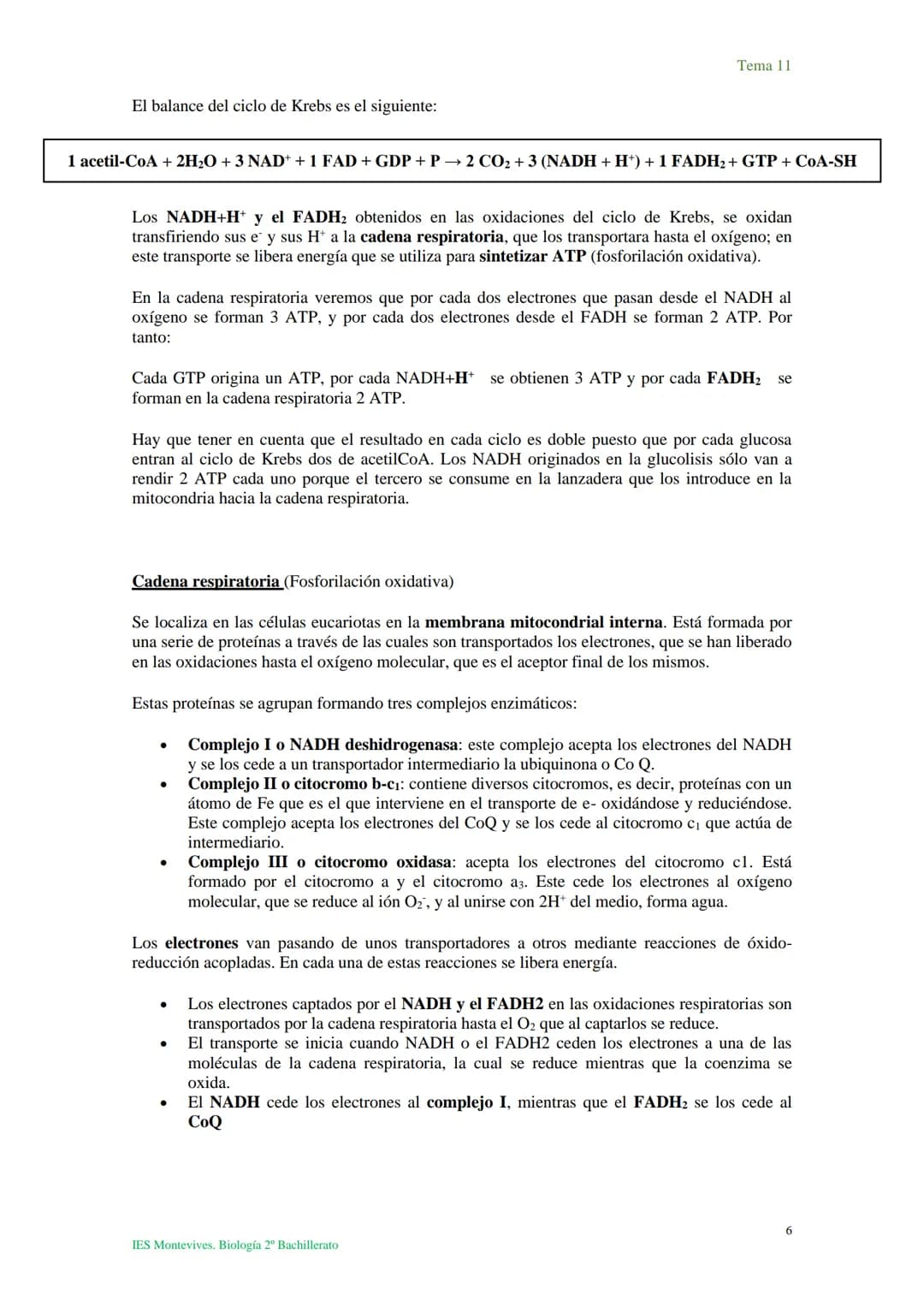 Tema 11 Metabolismo celular. Catabolismo
Tema 11
I. Introducción al catabolismo
Como hemos visto, el catabolismo es un
conjunto de reaccio