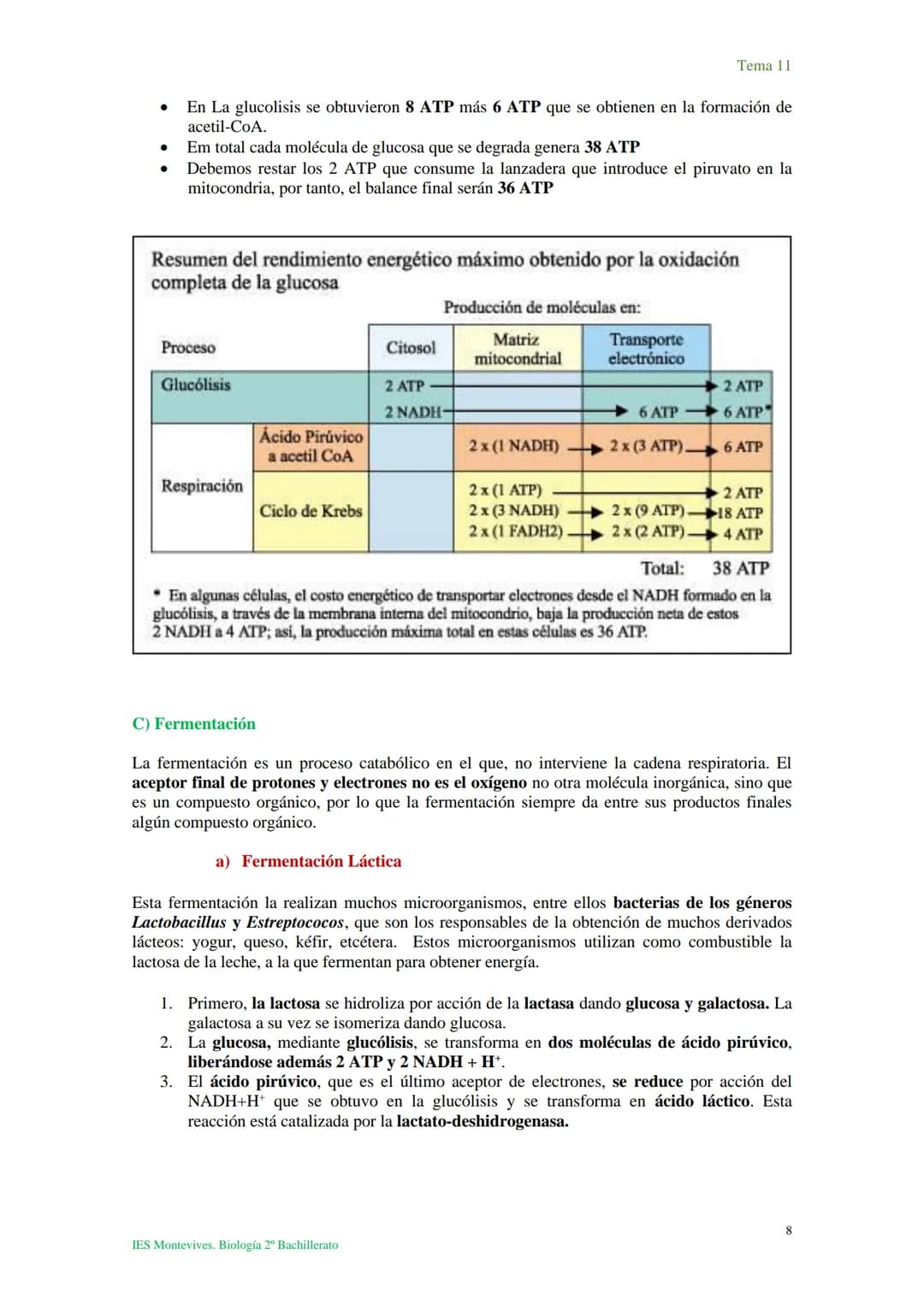 Tema 11 Metabolismo celular. Catabolismo
Tema 11
I. Introducción al catabolismo
Como hemos visto, el catabolismo es un
conjunto de reaccio