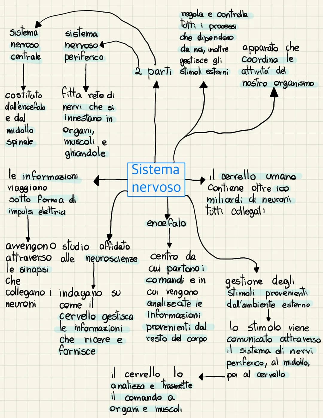 <h2>Il Cervello: Anatomia e Funzioni</h2>
<p>Il cervello è la parte superiore dell'encefalo, diviso in due emisferi destro e sinistro, che c