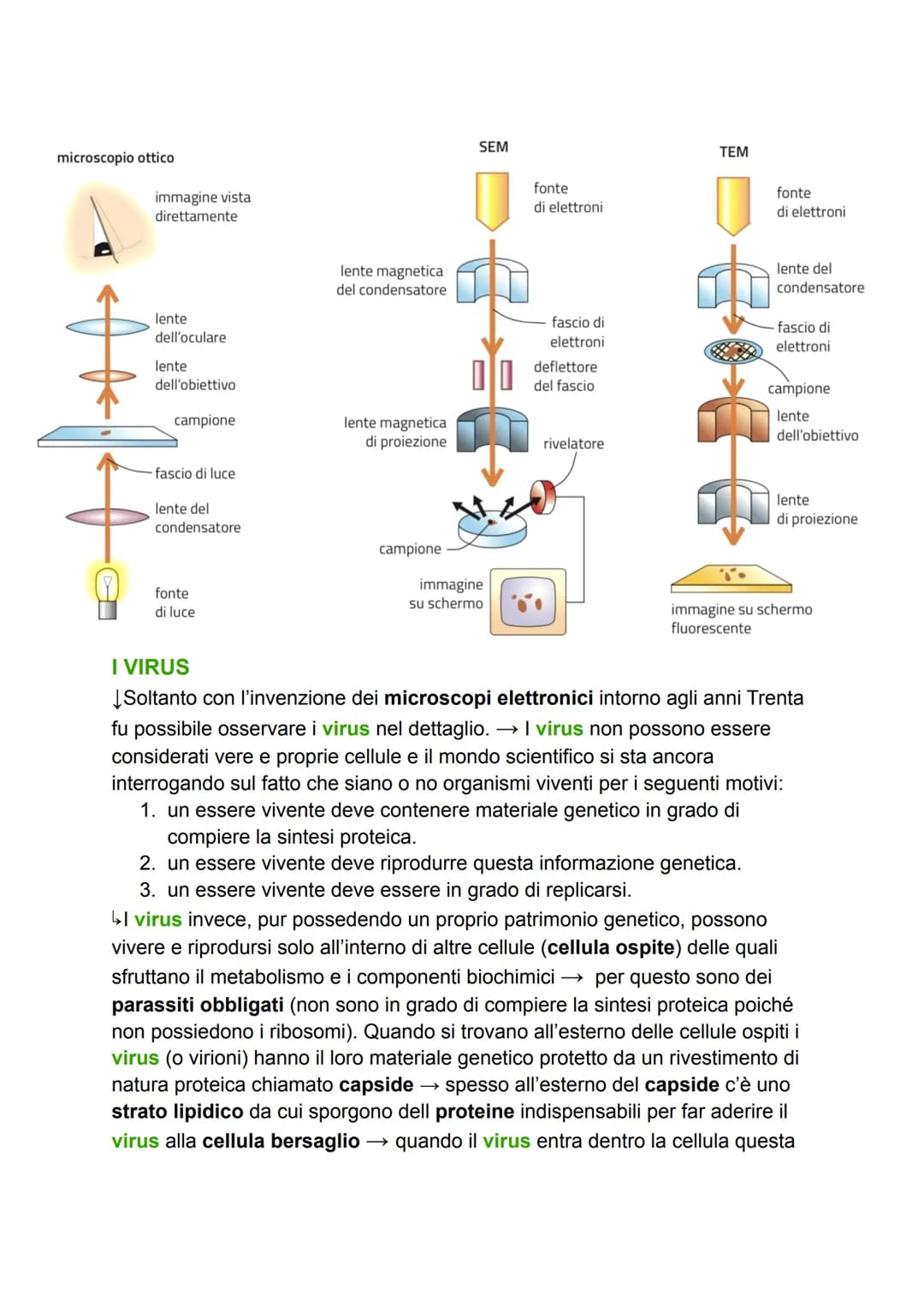 # LA CELLULA
GRADO DI COMPLESSITÀ DELLA MATERIA VIVENTE
↳ 1. ATOMO
2. MOLECOLA
3. BIOMOLECOLA
4. CELLULA (la più piccola parte dell'ess