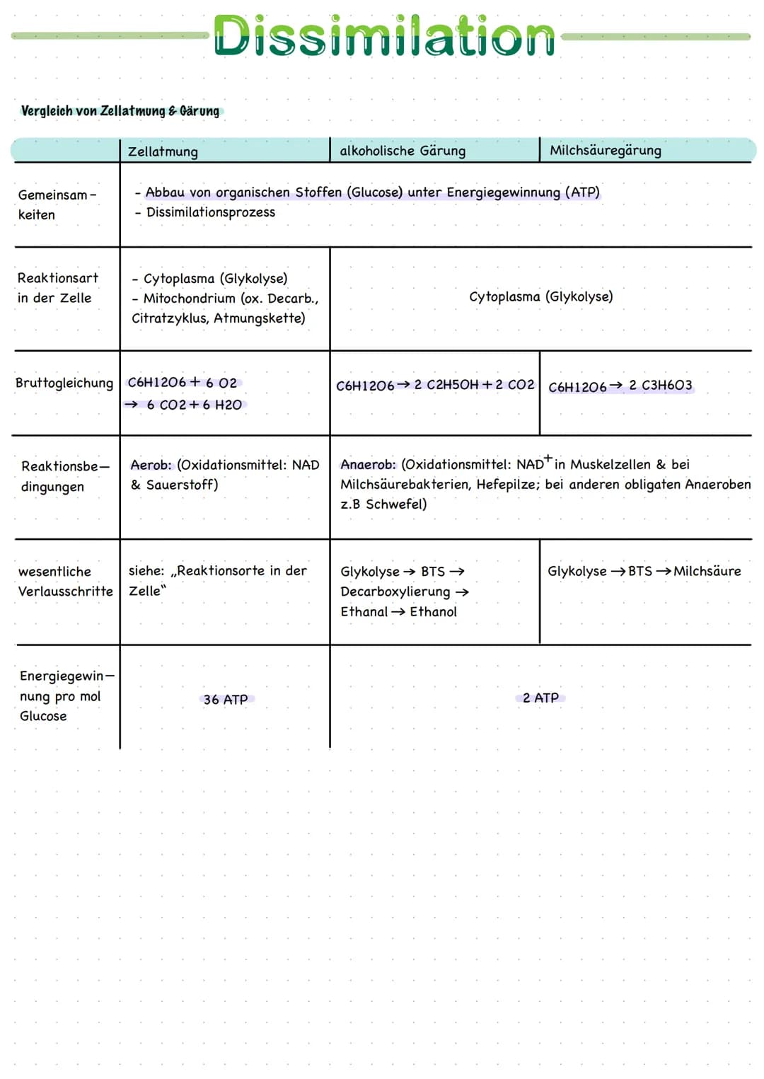 <h2>Orte der Zellatmung</h2>
<p>Zellatmung findet im Cytoplasma und im Mitochondrium statt. Das Mitochondrium ist ein stäbchenförmiges Zell