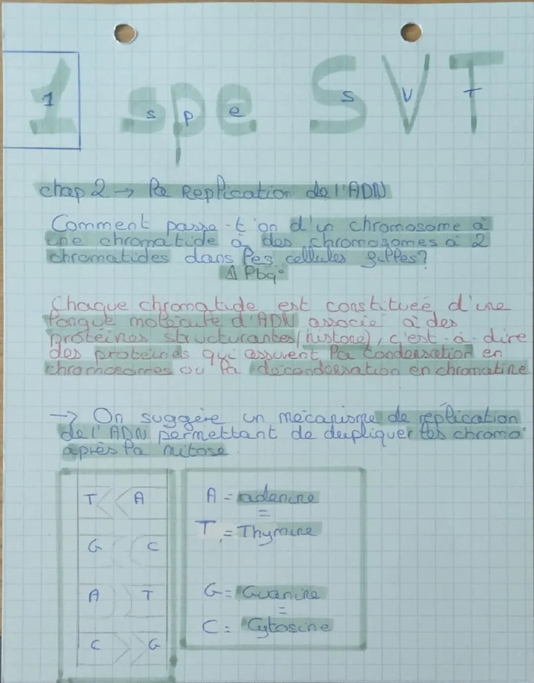 # 1 spe SVT
chap 2 Pa Replication de l'ADN
Comment passet on d'us
ane chromatide a
'on d'un chromosome a
des chromosomes a 2
chromatides d