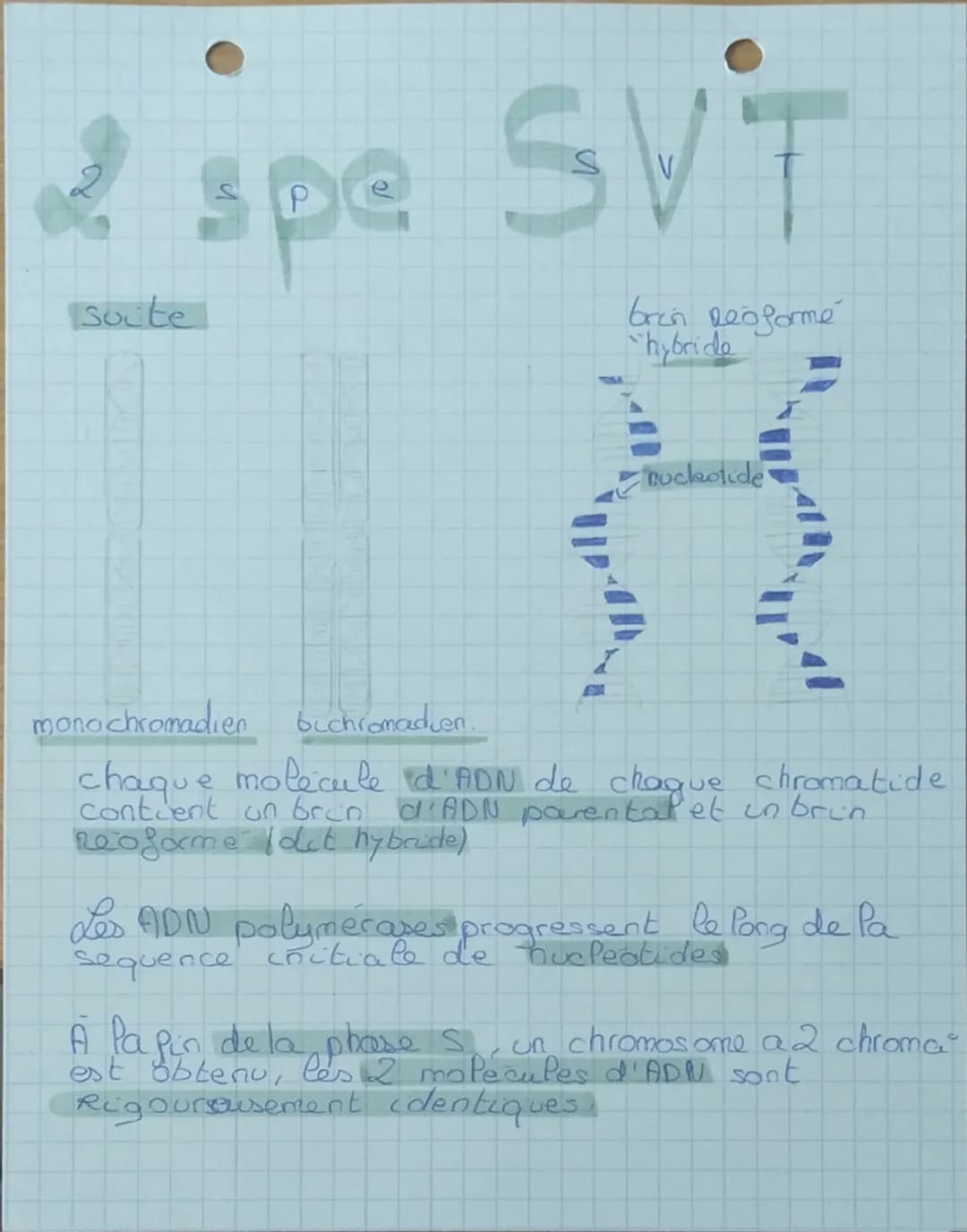 # 1 spe SVT
chap 2 Pa Replication de l'ADN
Comment passet on d'us
ane chromatide a
'on d'un chromosome a
des chromosomes a 2
chromatides d