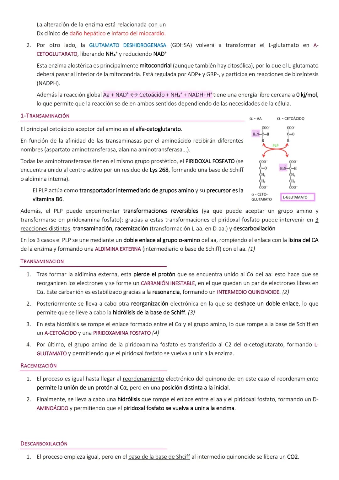 # Degradacion de proteinas.
METABOLISMO DE PROTEÍNAS
Las proteínas de la dieta son los precursores de los compuestos nitrogenados de los a