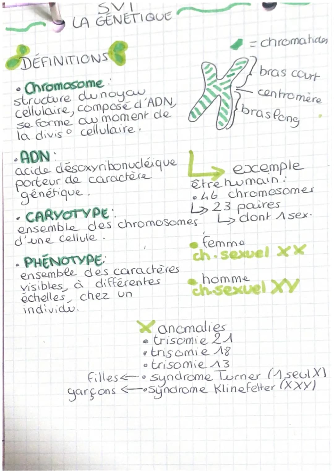 SVI
LA GÉNÉTIQUE
DÉFINITIONS
- Chromosome:
structure dunoyou
Cellulaire, composé d'ADN,
se forme cu moment de
la divis° cellulaire.
- ADN
