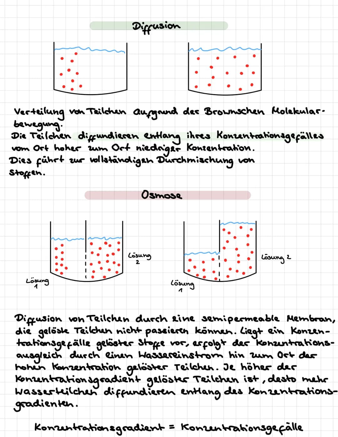 # Diffusion
Verteilung von Teilchen aufgrund des Brownschen Molekular-
bewegung.
Die Teilchen diffundieren entlang ihres Konzentrationsgefä