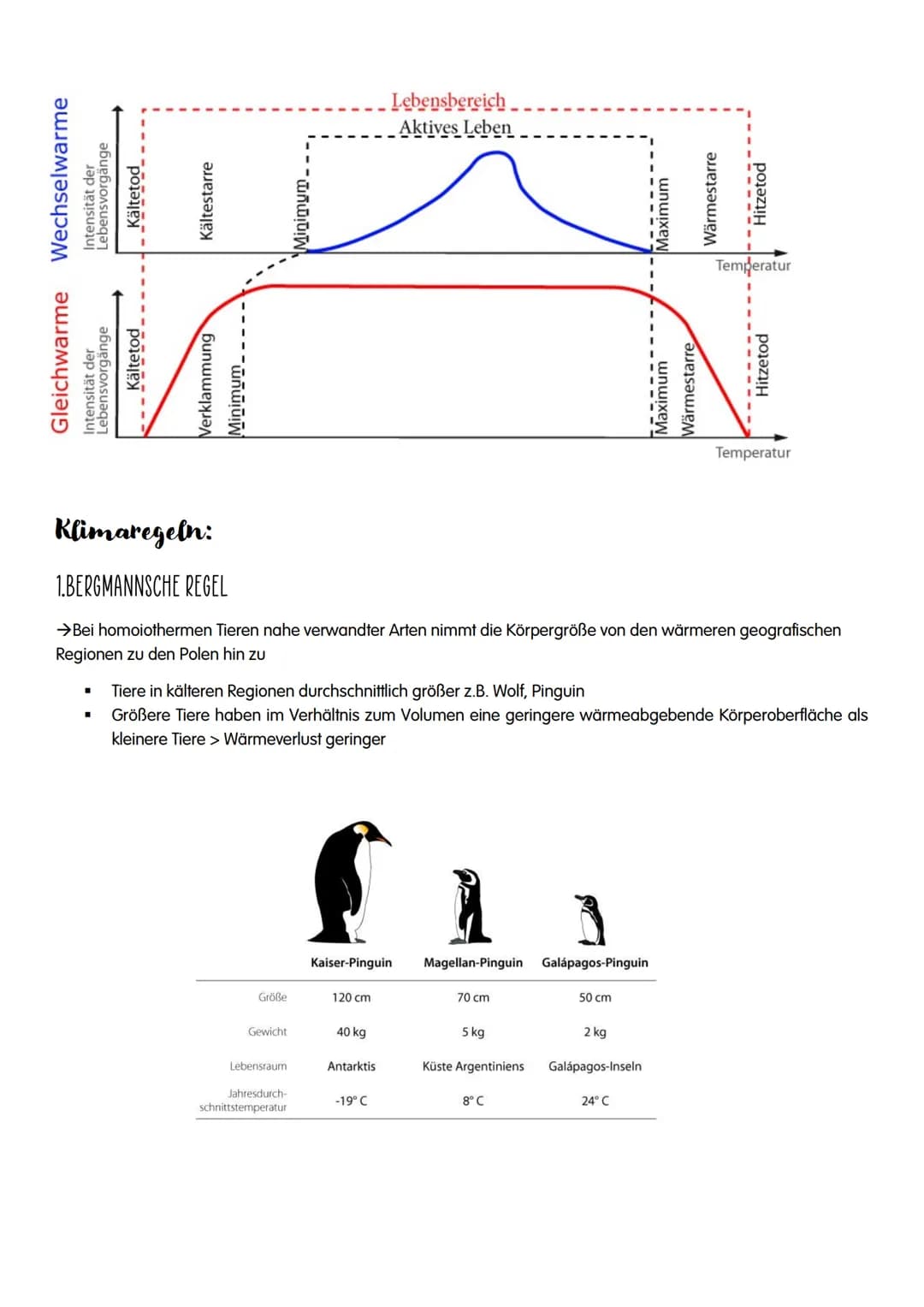ÖKOLOGIE # ÖKOLOGIE
→Wechselwirkungen zwischen Organismen und ihrer Umwelt sowie den Beziehungen der Organismen
untereinander
Biosphäre
Ö