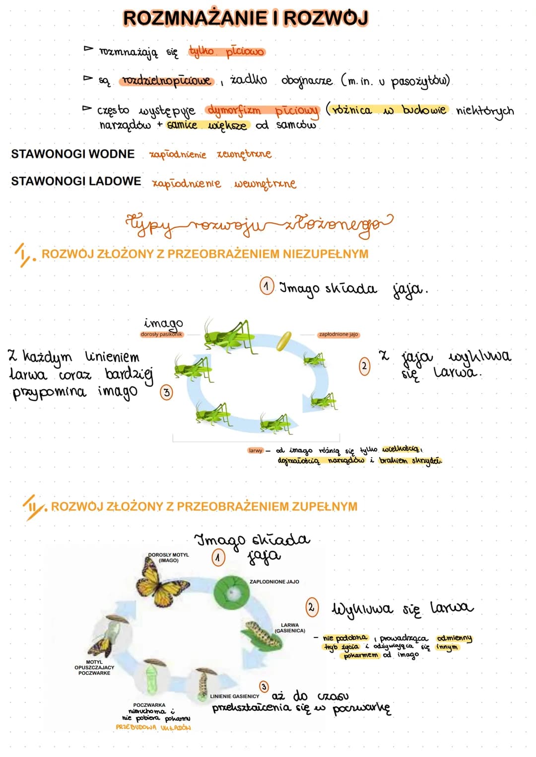 # stawonogi
SKORUPIA大で
szczypcehughna
odnóza kroczne-codient
oczy
PAJECZAKで
szczękoszczóϊκοpodobne
nogogłaszczka-furneje chwytne i
szczęk