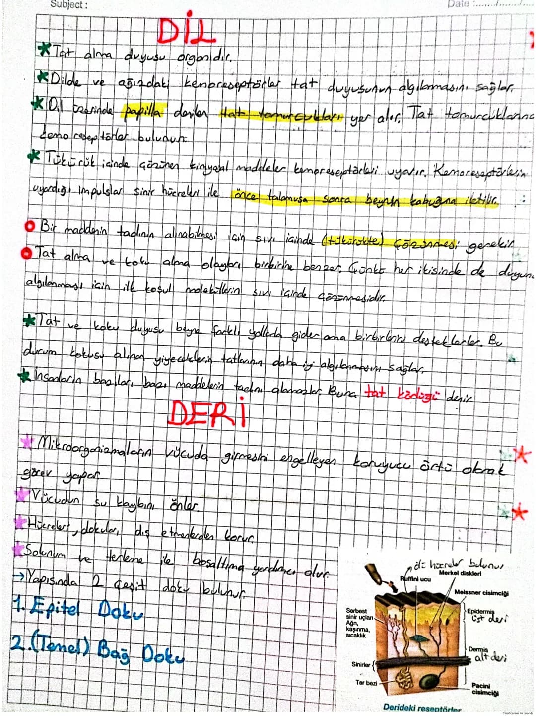 # DUYU ORGANLARI
* Duyu organlarında çeşitli uyarıları almak için özelleşmiş duyu reseptöre:
(almaa) bulunur. Reseptörer duyu epiteli