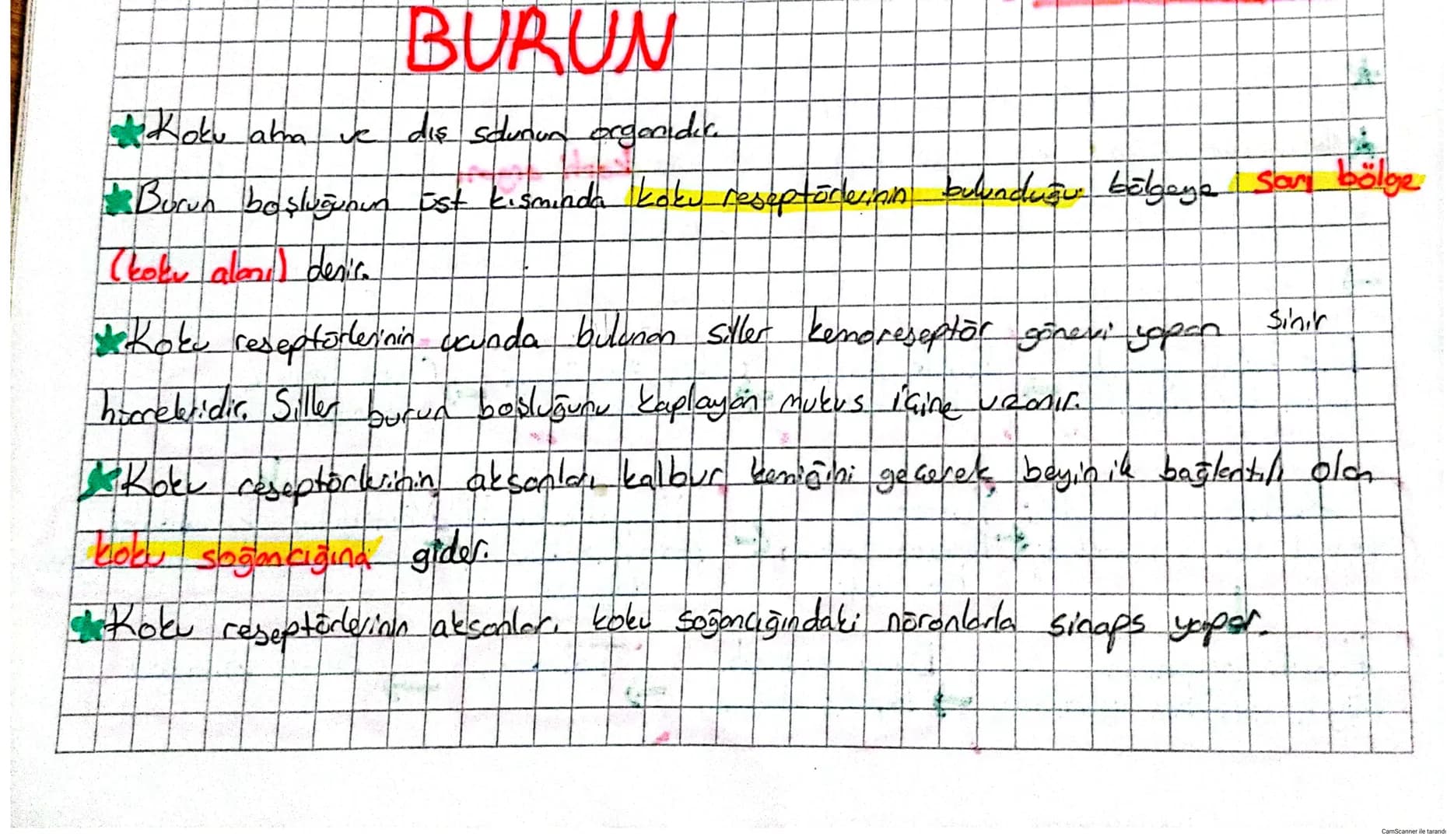 # DUYU ORGANLARI
* Duyu organlarında çeşitli uyarıları almak için özelleşmiş duyu reseptöre:
(almaa) bulunur. Reseptörer duyu epiteli