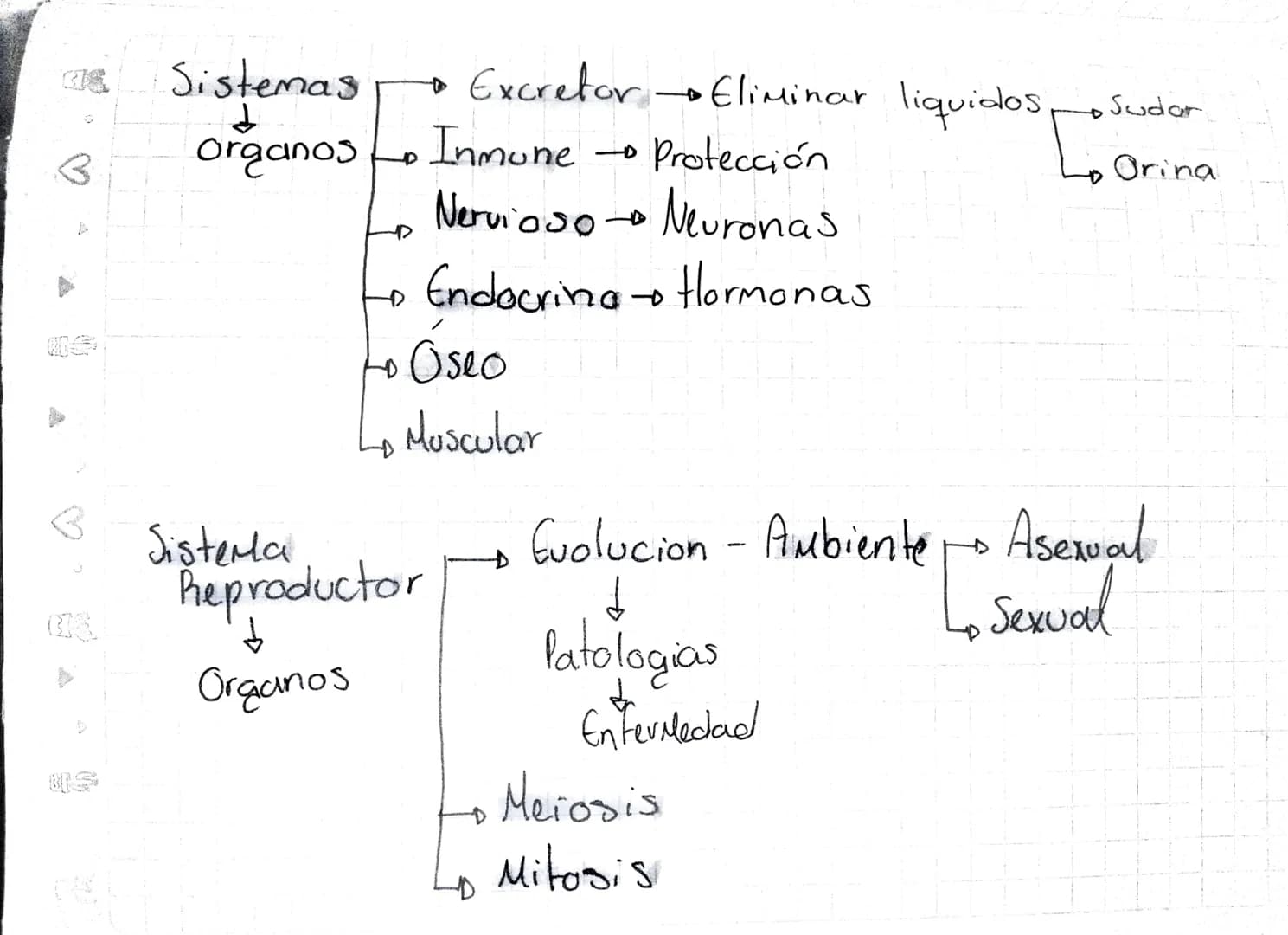 B
Sistemas
d
Organos
D
→ Excretor→Eliminar liquidos
Inmune Protección
Nervioso Neuronas
Endocrina Hormonas
Oseo
Sudar
Orina
Muscula